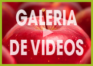 Galeria Videos