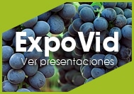 Expo Vides